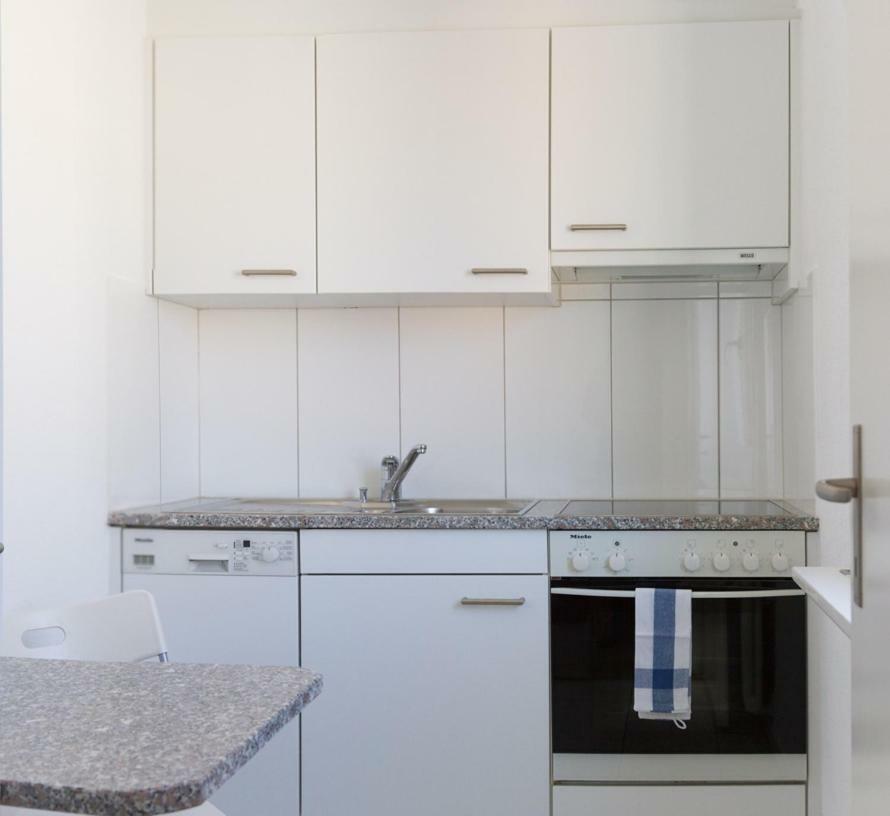 Apartment Am Rhein Basilea Esterno foto