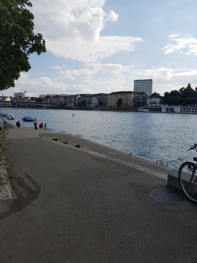 Apartment Am Rhein Basilea Esterno foto